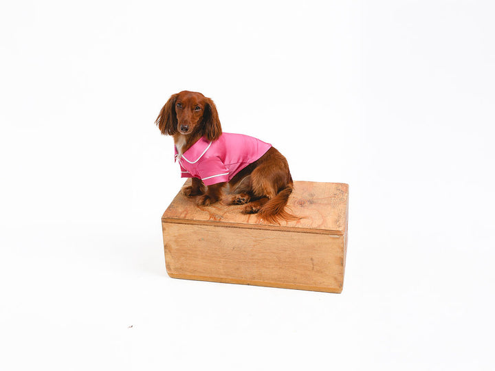 Pink Pet PJs